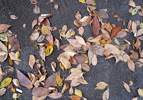 2010111403.jpg